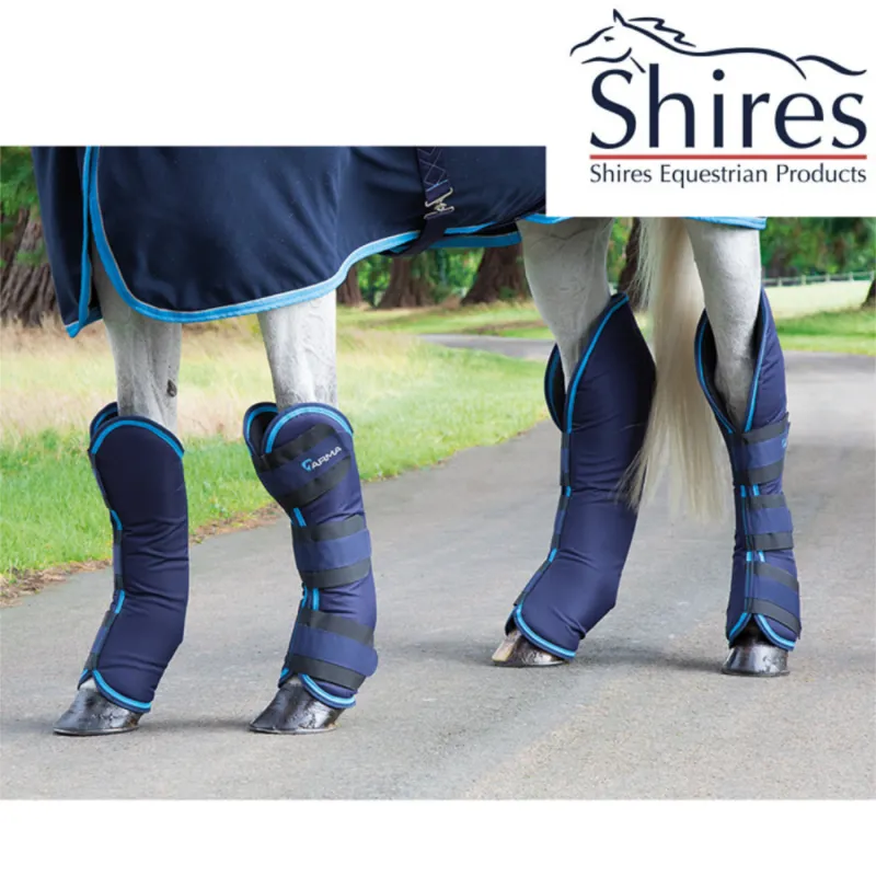 Shires Arma Travel Boots - Navy/Baby Blue 